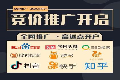 百度推广在电商行业的应用案例分析